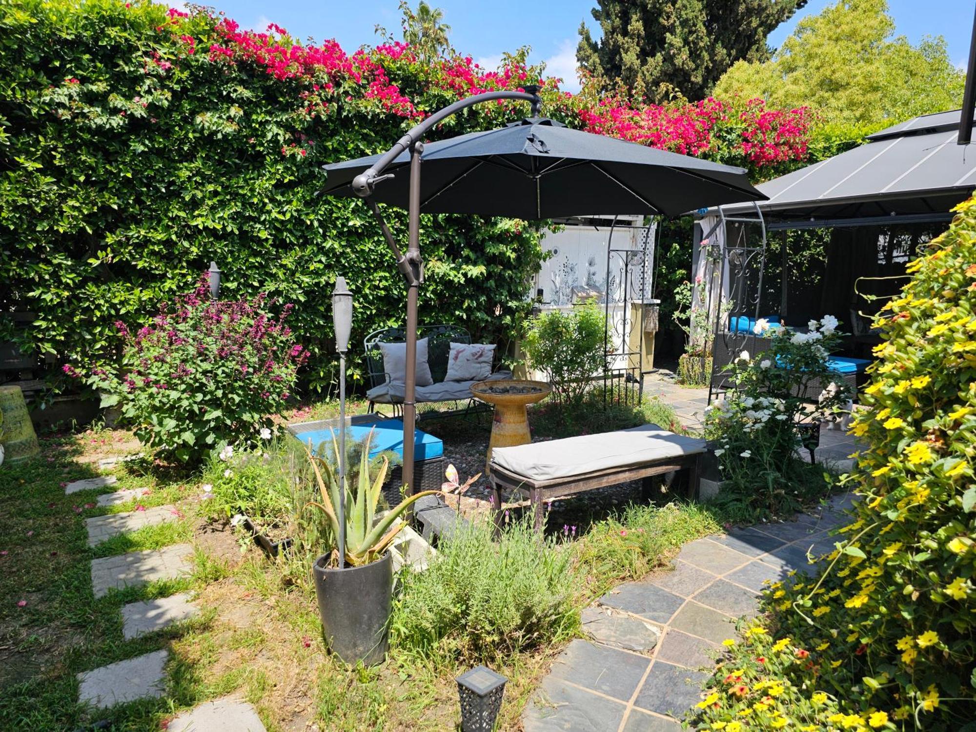 Tranquility At The House Of Alchemy Hollywood Los Ángeles