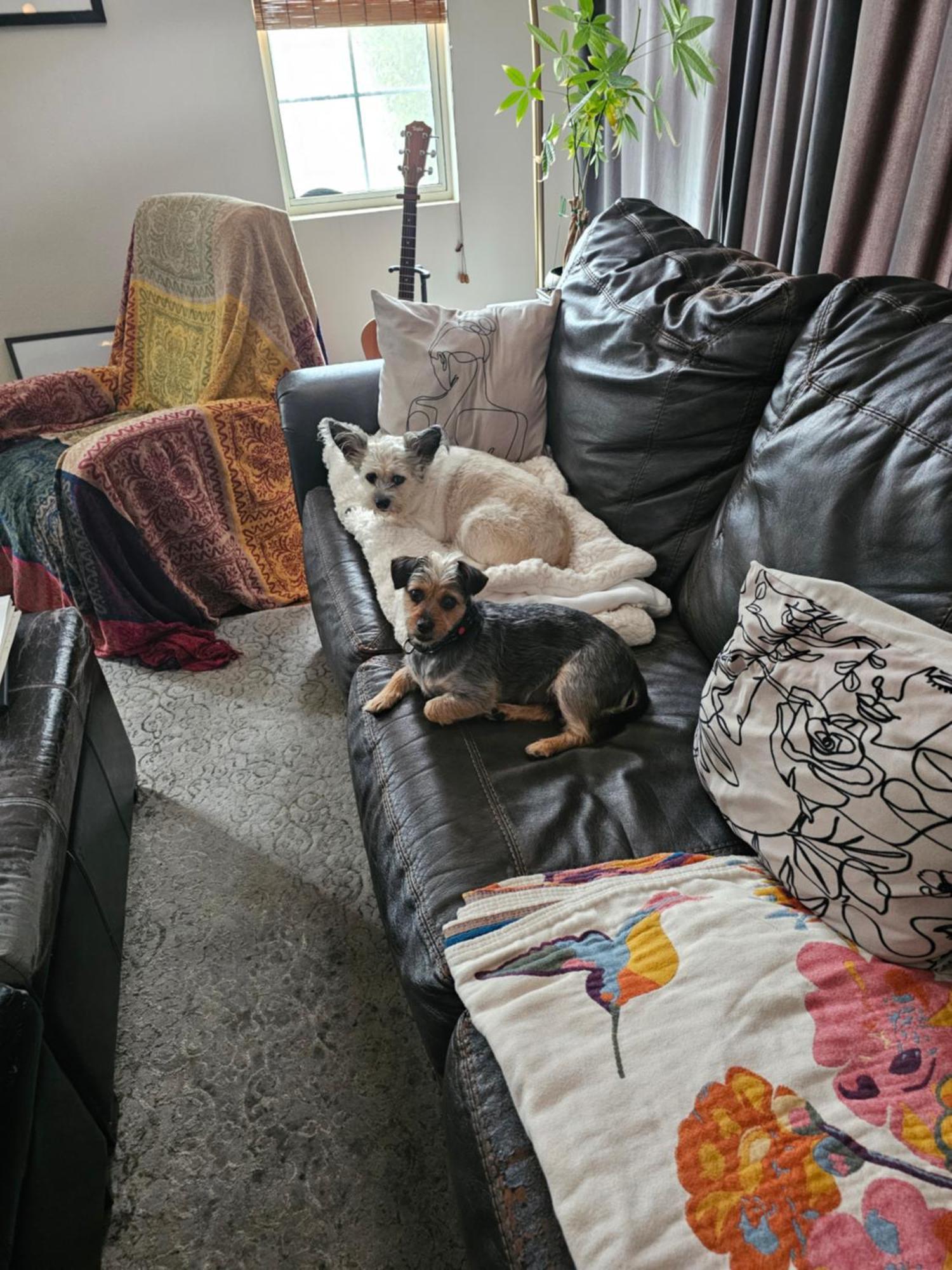 Homestay Tranquility At The House Of Alchemy Hollywood